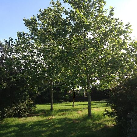 בית הארחה קרבוניפרה 	Agriturismo La Fattoria Del Mortelliccio מראה חיצוני תמונה